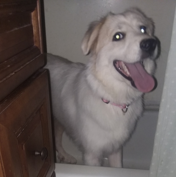 A variety of items - Picture 2 of 4